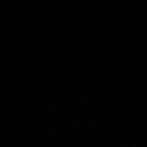 Meet your Posher, Owen